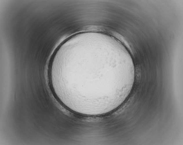 X0000110861091200907091335