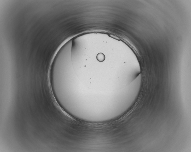 X0000110861092200907091335