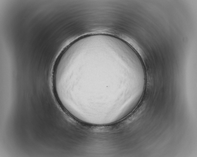 X0000110861093200907091335