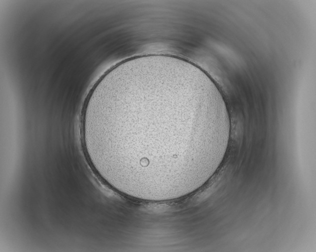 X0000110861094200907091335