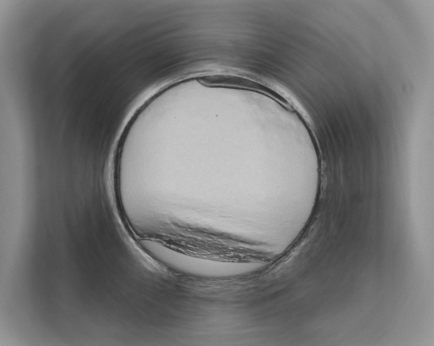 X0000110861098200907091335