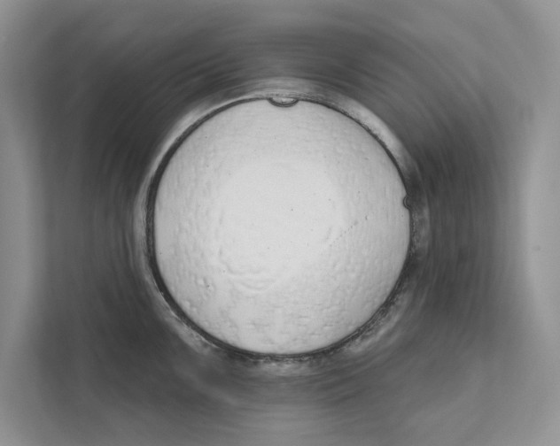 X0000110861099200907091335