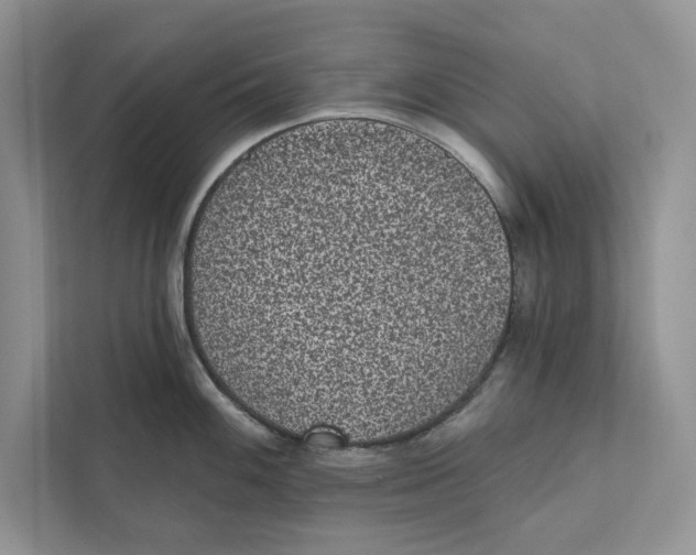 X0000110861100200907091335