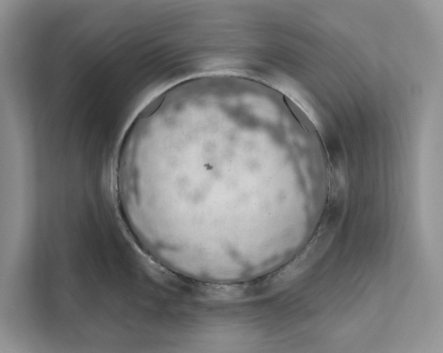 X0000110861101200907091335