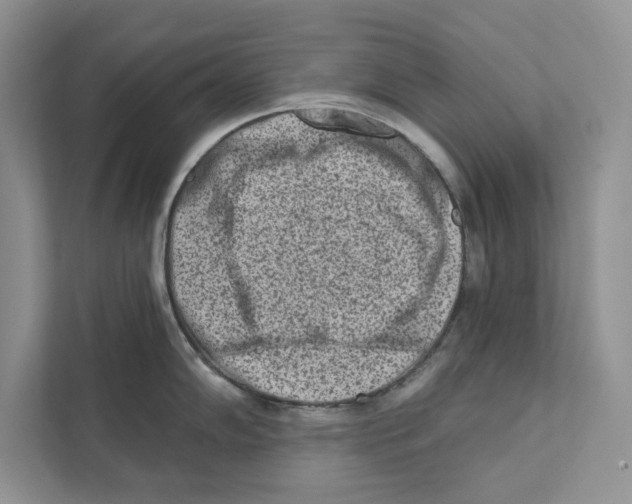 X0000110861102200907091335