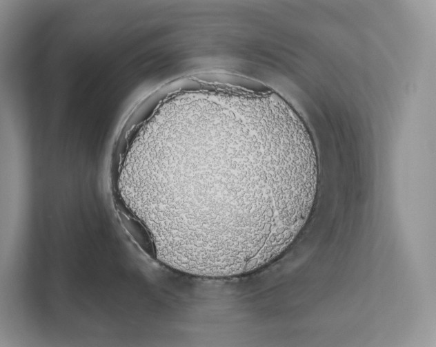 X0000110861104200907091335