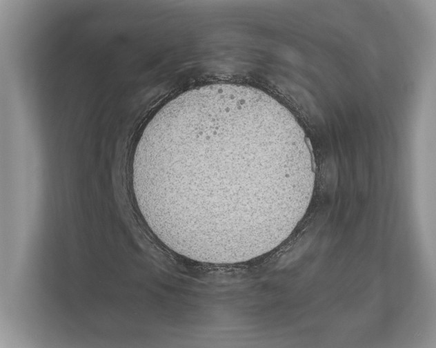 X0000110861105200907091334