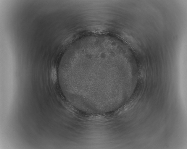 X0000110861106200907091334