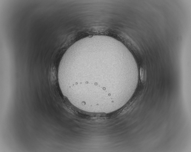 X0000110861107200907091334