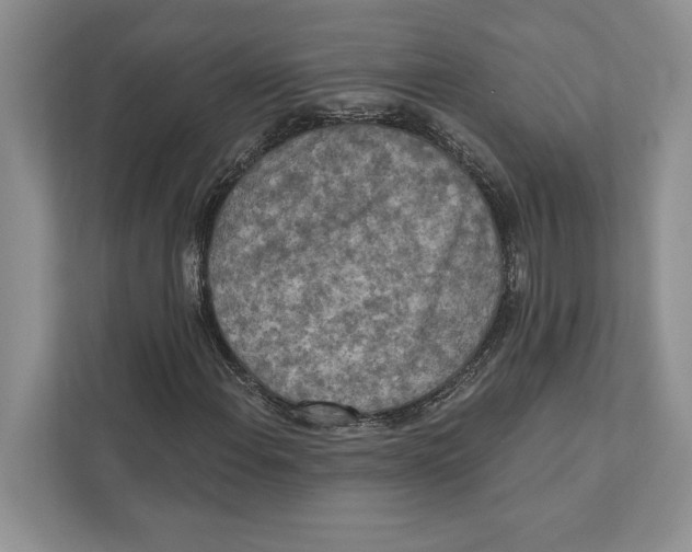 X0000110861108200907091335