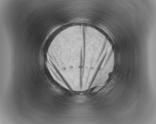 X0000110861115200907091335