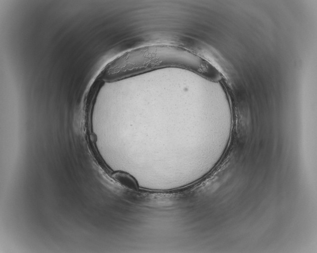 X0000110861116200907091335