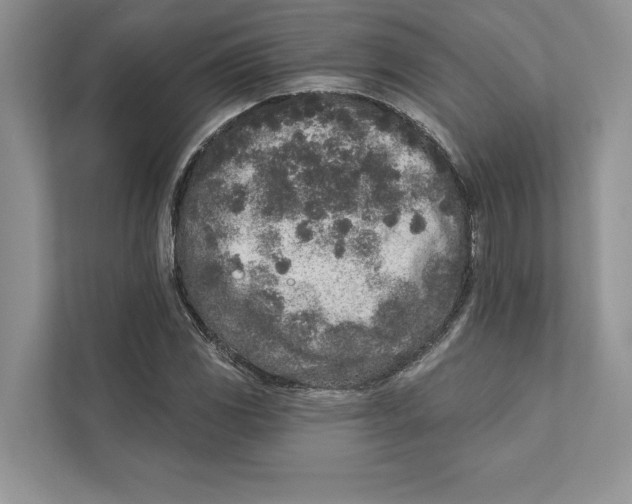 X0000110861117200907091335