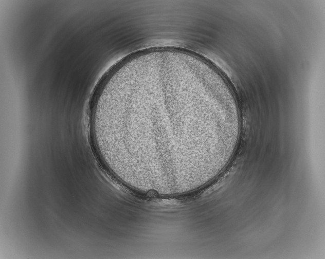 X0000110861119200907091335