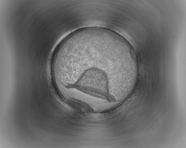 X0000110861120200907091335