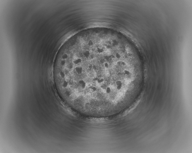 X0000110861121200907091335