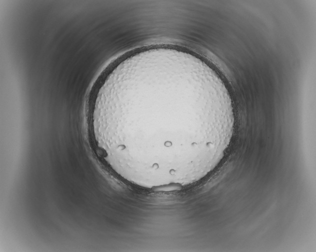 X0000110861124200907091335