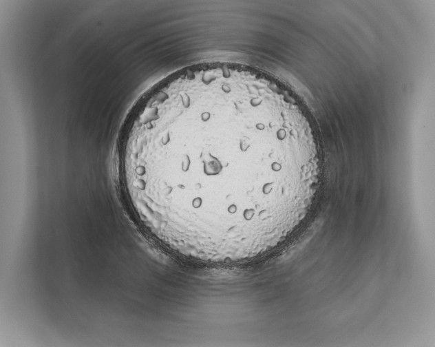 X0000110861125200907091335