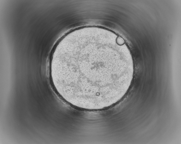 X0000110861126200907091335