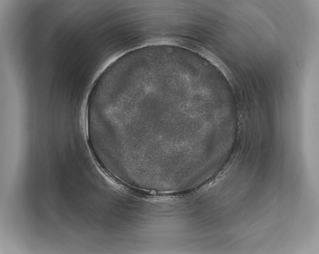 X0000110861127200907091335