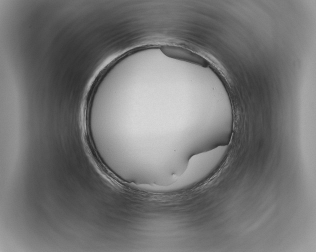 X0000110861128200907091335