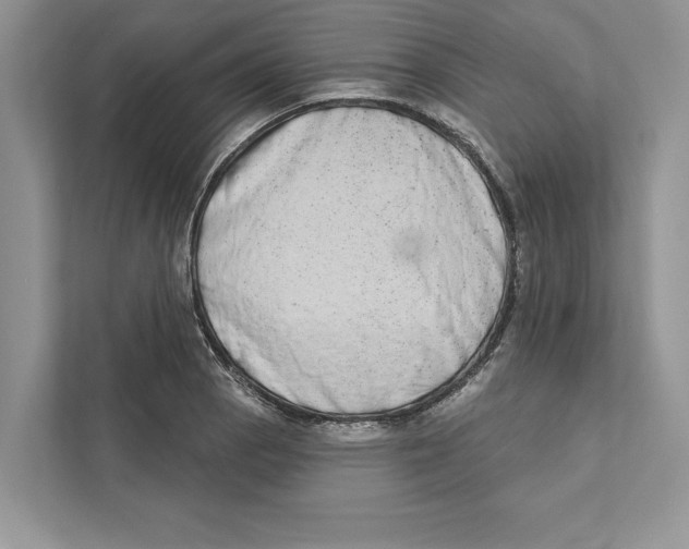 X0000110861129200907091335