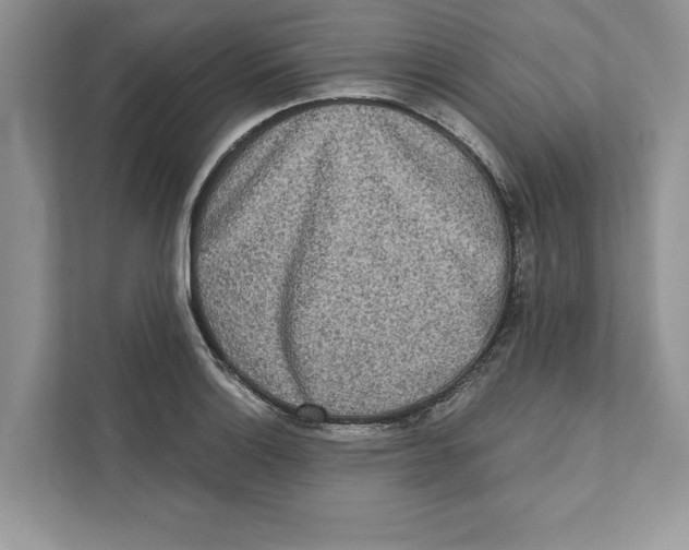 X0000110861132200907091335