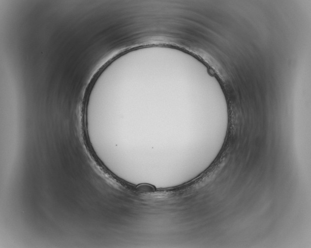 X0000110861134200907091335