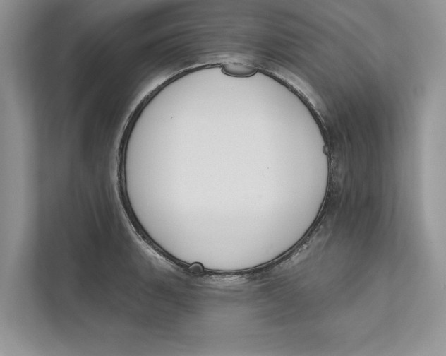 X0000110861135200907091335