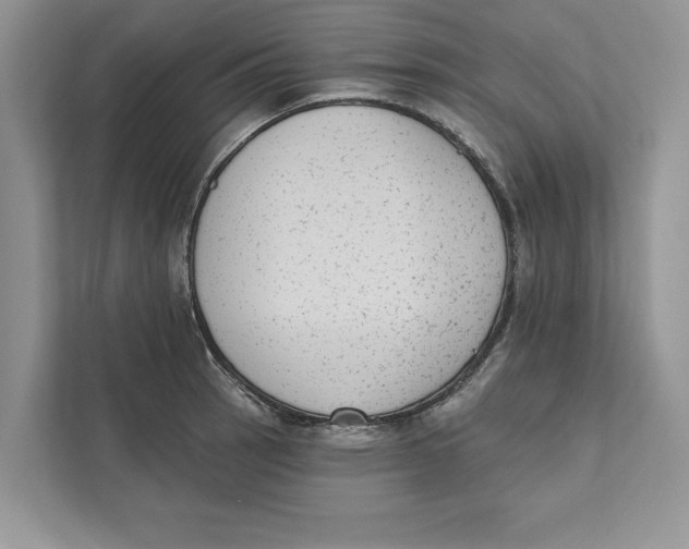 X0000110861137200907091335