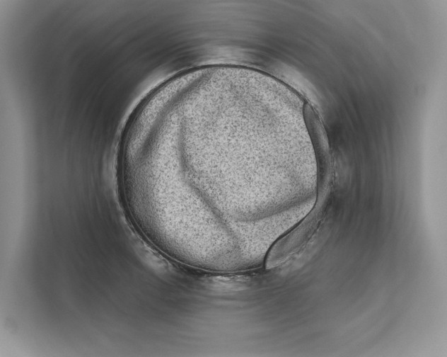 X0000110861138200907091335