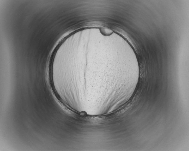 X0000110861139200907091335