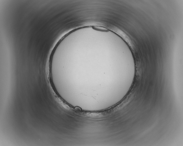 X0000110861140200907091335