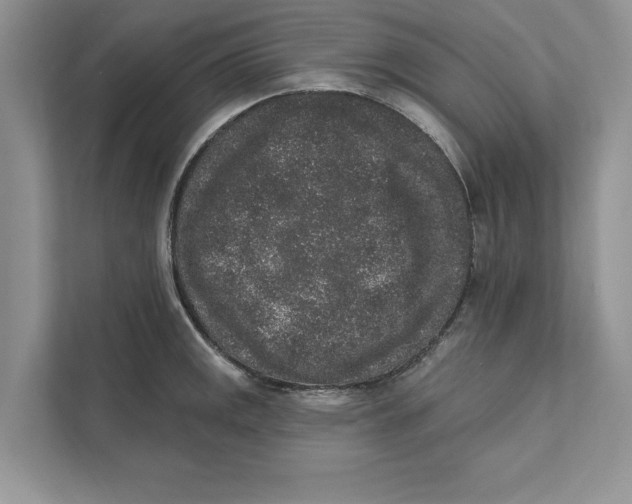 X0000110861141200907091335