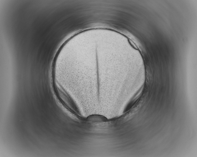 X0000110861142200907091335