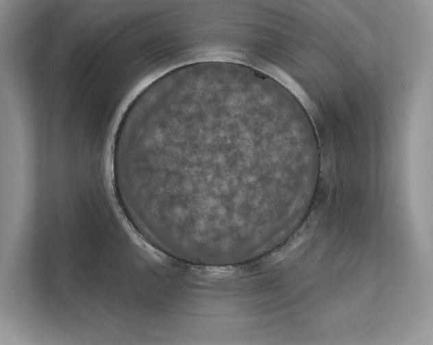 X0000110861144200907091335