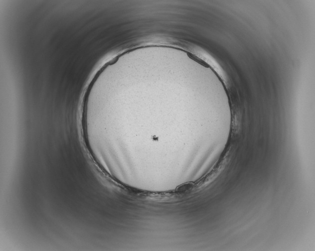 X0000110861146200907091335