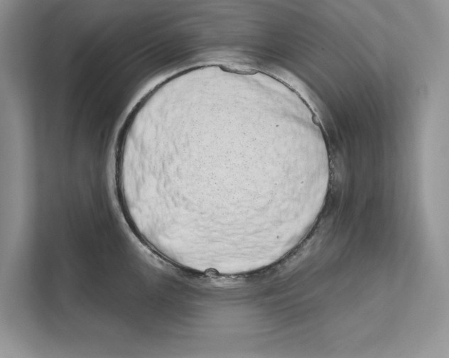 X0000110861147200907091335