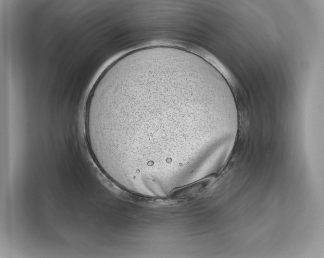 X0000110861148200907091335