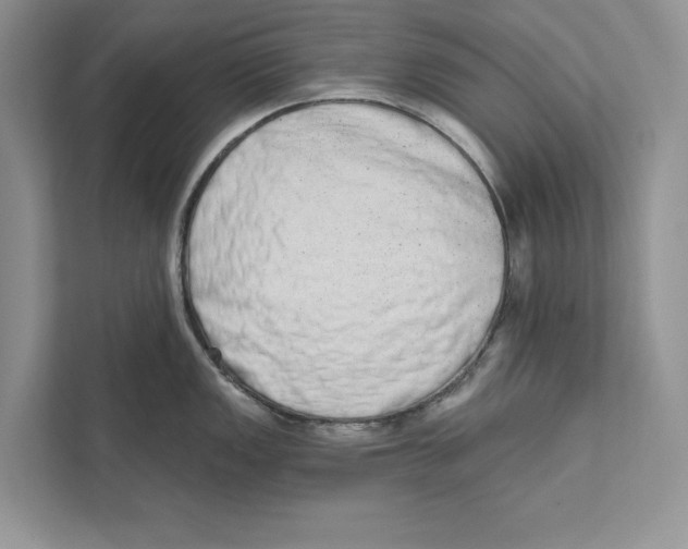 X0000110861149200907091335