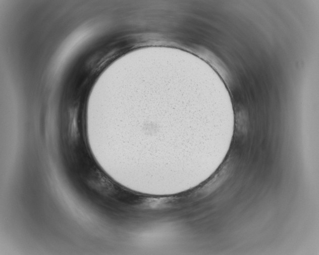 X0000110861150200907091335