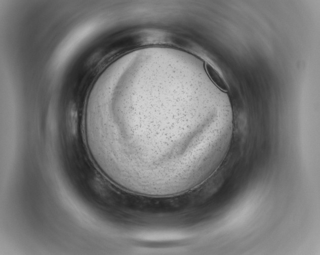 X0000110861151200907091335