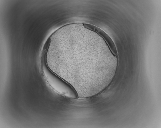 X0000110861152200907091335