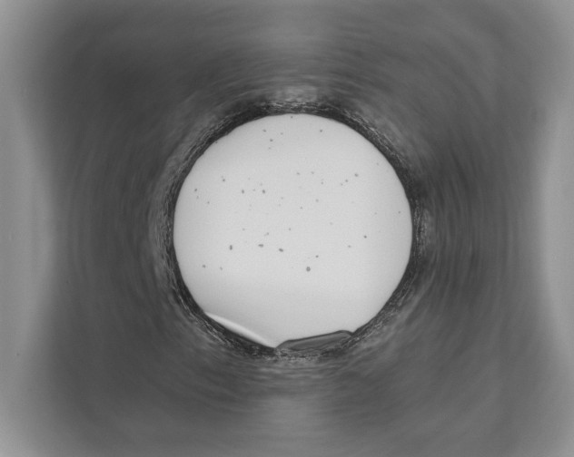 X0000110861153200907091334