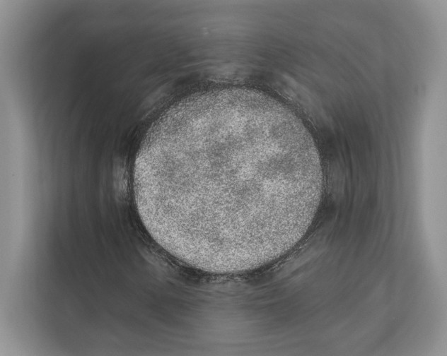 X0000110861154200907091334