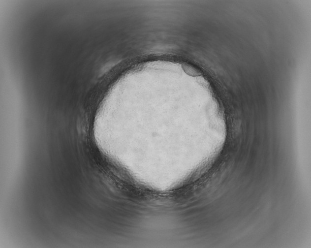 X0000110861158200907091334