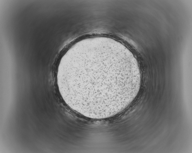 X0000110861160200907091334