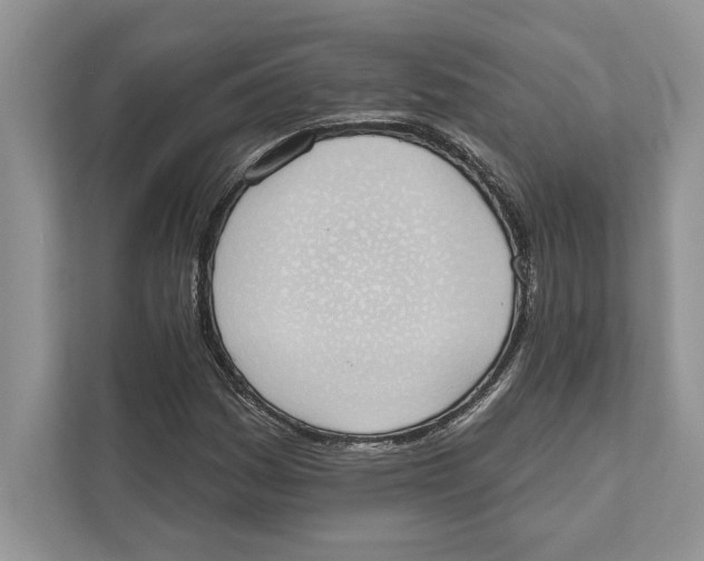 X0000110861161200907091334