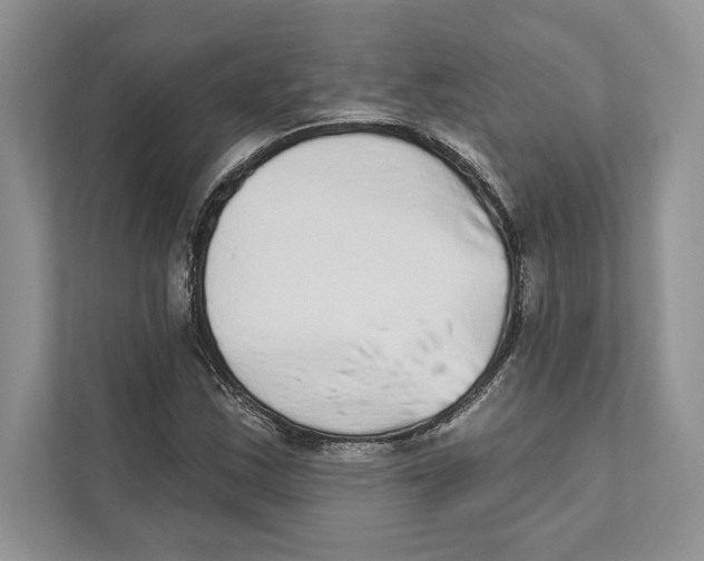 X0000110861163200907091334