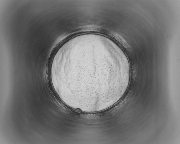 X0000110861164200907091334